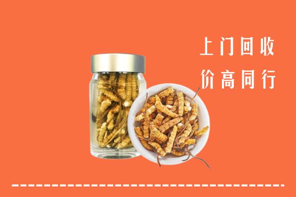 涿鹿县回收冬虫夏草