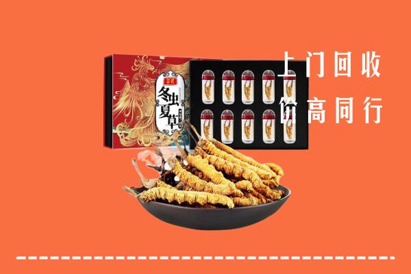 涿鹿县回收虫草